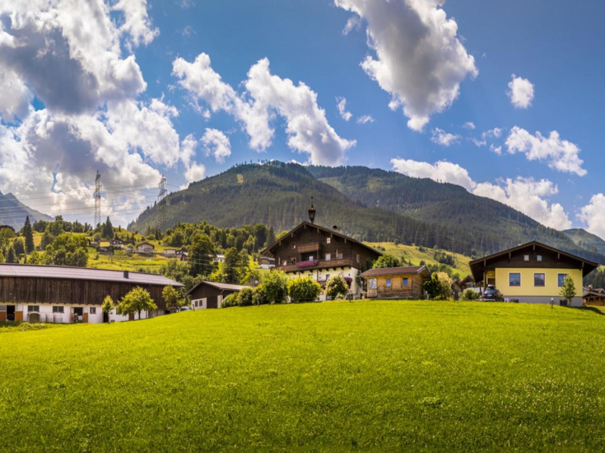Holiday Home Erlachhof By Interhome Нідернзілль Екстер'єр фото